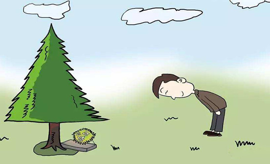 沈陽墓園遷墳的那些事兒