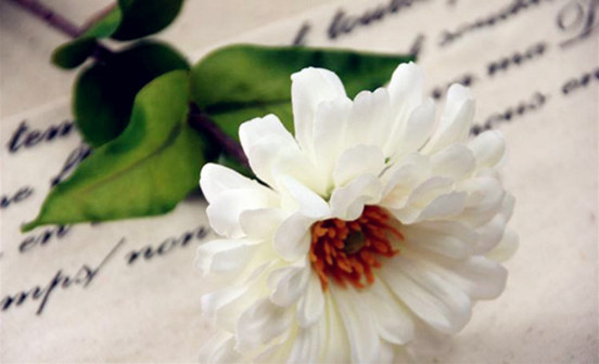 沈陽墓園關于碑文那些事兒