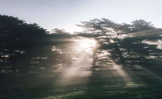 沈陽(yáng)墓園墓穴安葬證丟失怎么辦