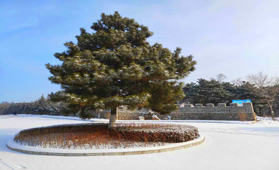 沈陽墓園立碑需要掌握哪些要領(lǐng)