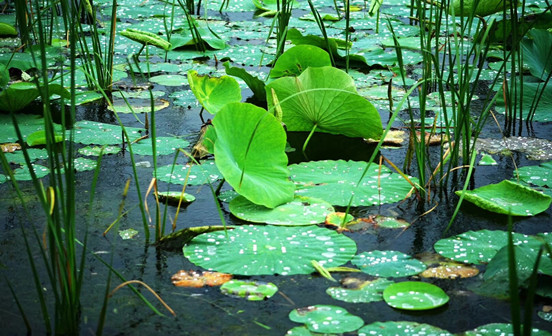 如果墓地也像房地產(chǎn)一樣開發(fā)結(jié)果堪憂