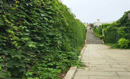 傳統祭祀的處理方式