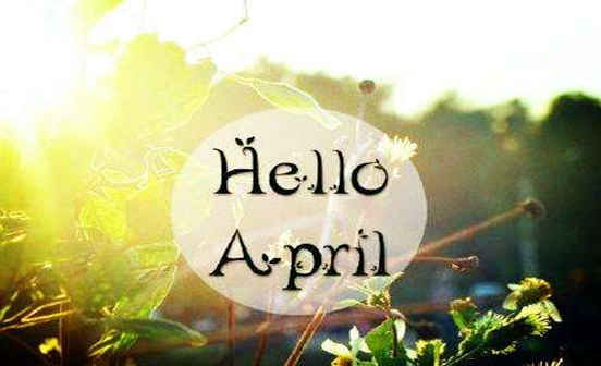 2019年8月適合掃墓的日子