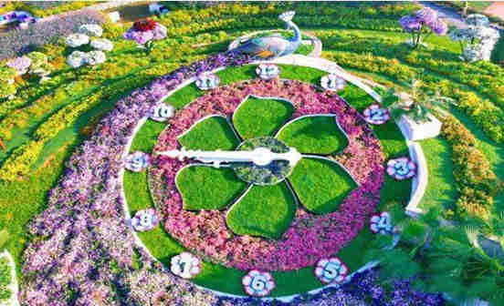 骨灰壇沈陽公墓下葬次序與流程