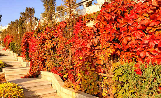 墓地朝向有何注意事項