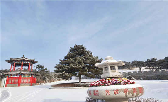 在什么情況下需要遷墳？