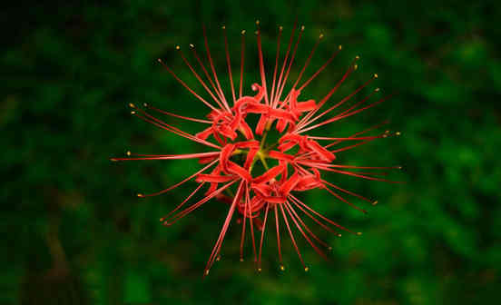 房子后面有墓地怎么破解&nbsp;