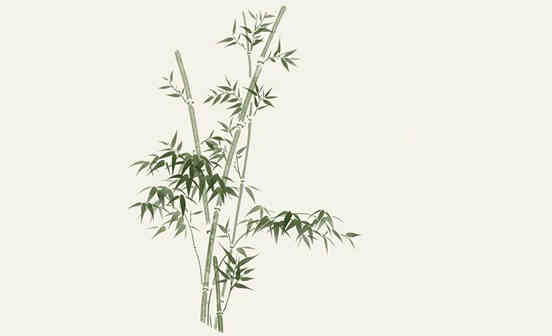 古人為何鐘愛竹子？