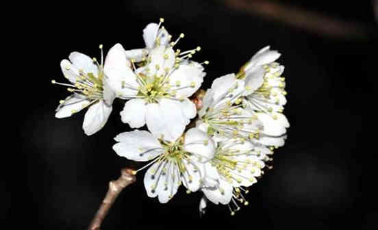 古人為何喜歡傷春悲秋