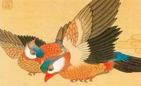 比翼鳥的寓意是什么?