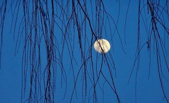 月朗星稀的意義？