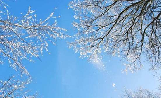 沈陽墓園問2019小雪是幾月幾號?