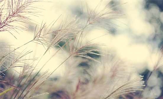 喪葬習(xí)俗的演變史