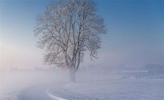 最特別的古代祭祀文化