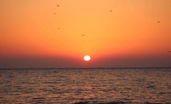 沈陽(yáng)墓園哪家好|墓地排號(hào)的具體意義（二）