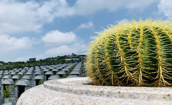 農(nóng)村立碑四要素