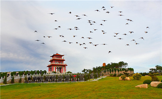 少數民族安葬形式&mdash;&mdash;維吾爾族