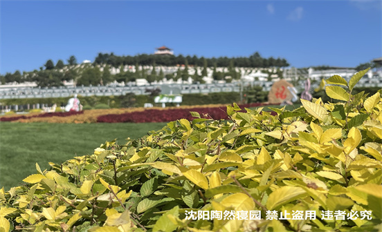 生態葬究竟是什么？