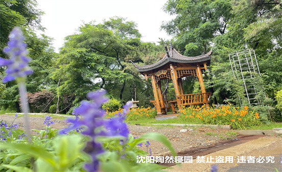 引領祭祀新風尚，讓生命在記憶中永生