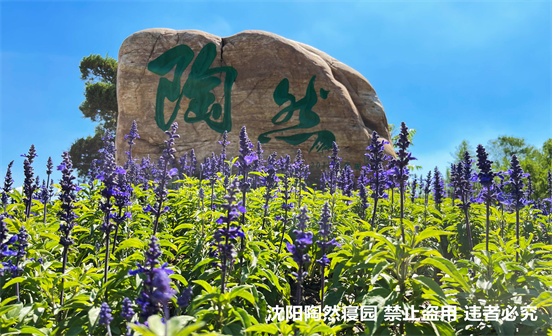 剛剛發(fā)布！沈陽暫停清明祭掃公祭活動！