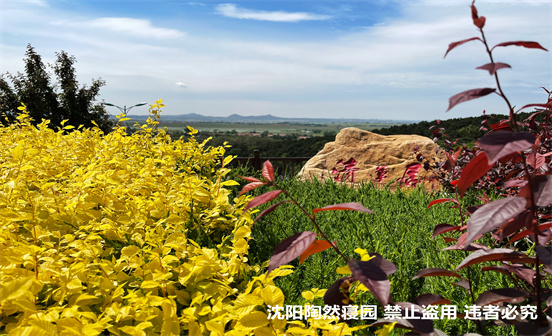 畬族的喪葬習俗