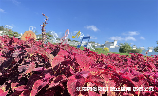 沈陽全面推廣&ldquo;智慧殯葬&rdquo;平臺