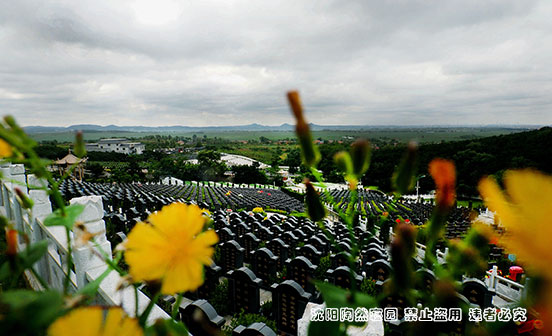 沈陽(yáng)陶然寢園山水環(huán)境