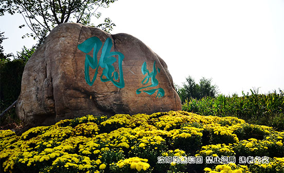 殯葬相關(guān)基本概念及分類