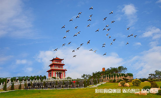 商朝人為何一直在祭祀的路上
