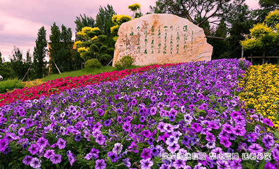 沈陽陶然寢園在哪？價格高嗎？