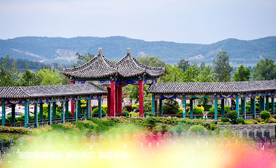 生態殯葬是一種現代人的生命態度