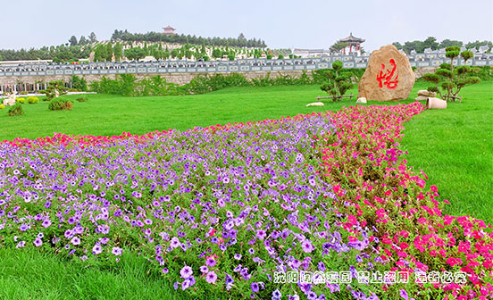 關于&ldquo;葬&rdquo;和下葬