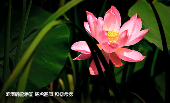 什么是最好的告別？