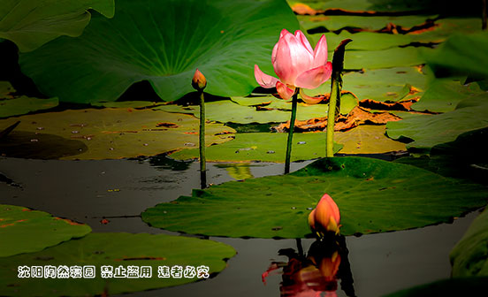 關(guān)于&ldquo;殯&rdquo;和停殯