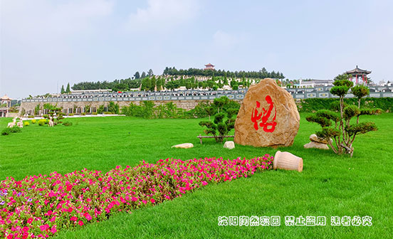 為什么選擇海葬的人越來越多？