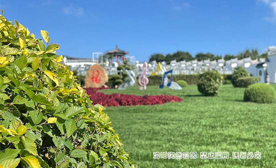 沈陽陶然寢園價格高不高？