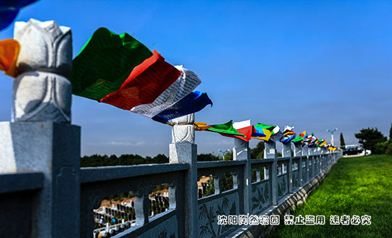 尸僵后出現的情況