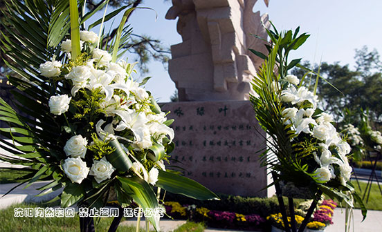 生死不離樹的岜沙苗族