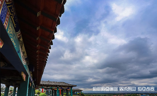 下葬后為什么不能回頭看？