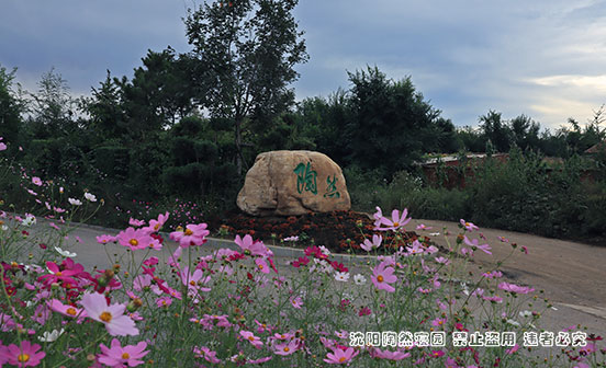 為何選擇花壇葬的年輕人越來(lái)越多