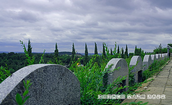 祭掃時(shí)帶什么供品比較好？