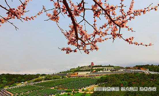 喪事過后，為何白豆腐成為餐桌上的必備之選？
