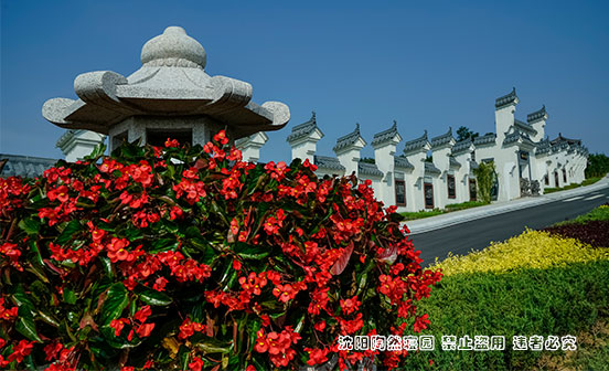 揭秘祭祀供品單數之奧妙