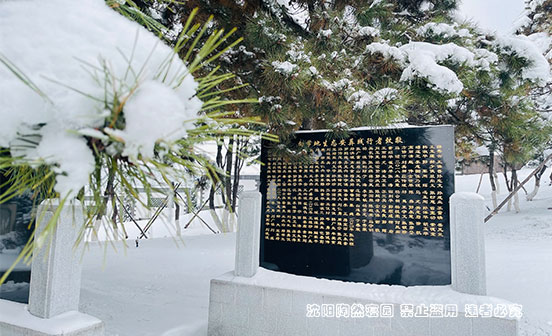 綠色殯葬回歸自然的生命終章