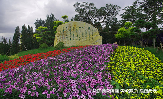 買墓地，選單穴還是雙穴？