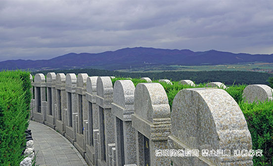 持證上崗，守護每一份托付：沈陽墓園專業化背后的溫度與承諾