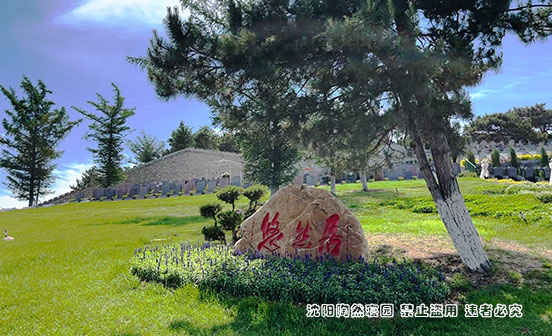 把思念種成一棵樹